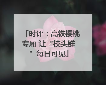 时评：高铁樱桃专厢 让“枝头鲜”每日可见