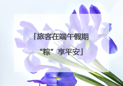 旅客在端午假期“粽”享平安