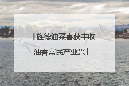旌德油菜喜获丰收 油香富民产业兴