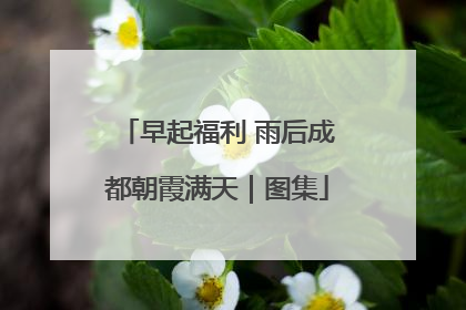 早起福利 雨后成都朝霞满天｜图集