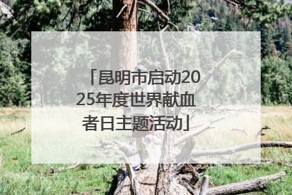 昆明市启动2025年度世界献血者日主题活动