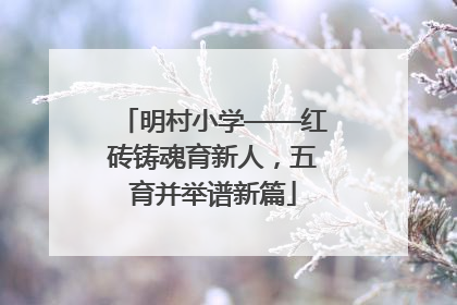 明村小学——红砖铸魂育新人，五育并举谱新篇