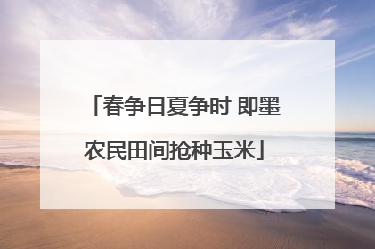 春争日夏争时 即墨农民田间抢种玉米