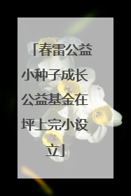 春雷公益小种子成长公益基金在坪上完小设立