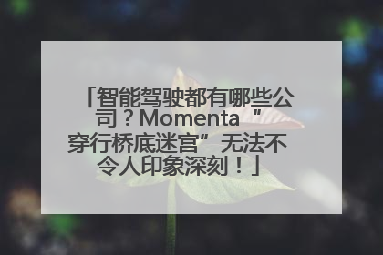 智能驾驶都有哪些公司？Momenta“穿行桥底迷宫”无法不令人印象深刻！