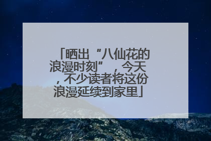 晒出“八仙花的浪漫时刻”，今天，不少读者将这份浪漫延续到家里