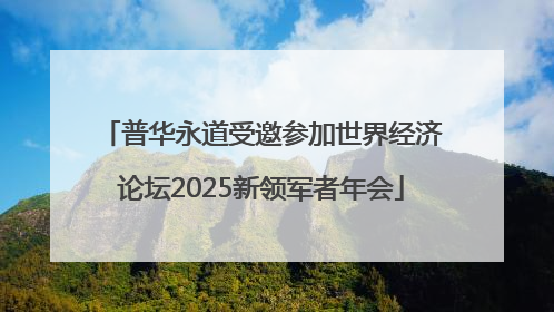 普华永道受邀参加世界经济论坛2025新领军者年会