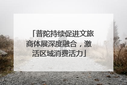 普陀持续促进文旅商体展深度融合，激活区域消费活力
