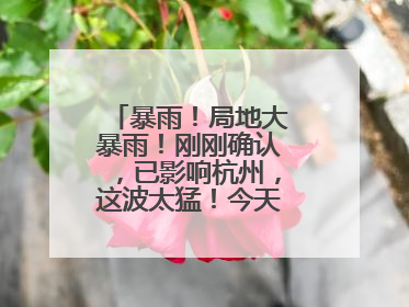 暴雨！局地大暴雨！刚刚确认，已影响杭州，这波太猛！今天记得提前出门