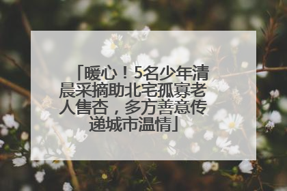暖心！5名少年清晨采摘助北宅孤寡老人售杏，多方善意传递城市温情