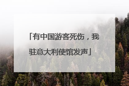 有中国游客死伤，我驻意大利使馆发声