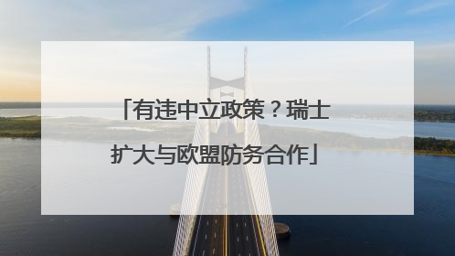 有违中立政策？瑞士扩大与欧盟防务合作