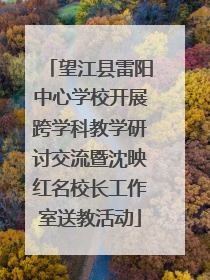 望江县雷阳中心学校开展跨学科教学研讨交流暨沈映红名校长工作室送教活动
