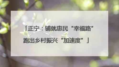 正宁：铺就惠民“幸福路”跑出乡村振兴“加速度”