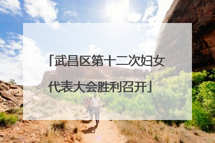 武昌区第十二次妇女代表大会胜利召开