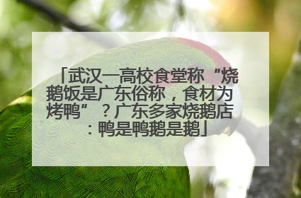武汉一高校食堂称“烧鹅饭是广东俗称，食材为烤鸭”？广东多家烧鹅店：鸭是鸭鹅是鹅