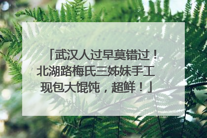 武汉人过早莫错过！北湖路梅氏三姊妹手工现包大馄饨，超鲜！