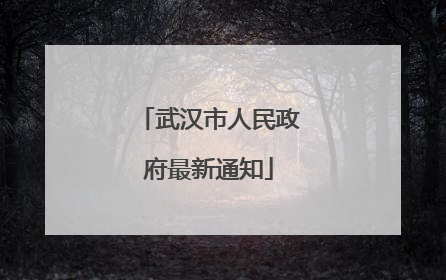 武汉市人民政府最新通知