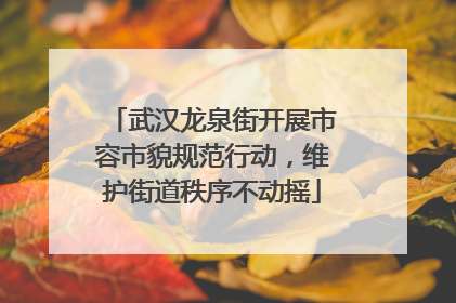武汉龙泉街开展市容市貌规范行动，维护街道秩序不动摇