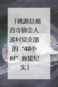 桃源县观音寺镇会人溪村党支部的“48小时”救援纪实
