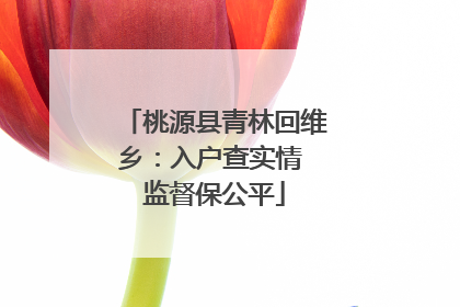 桃源县青林回维乡：入户查实情 监督保公平