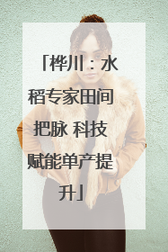 桦川：水稻专家田间把脉 科技赋能单产提升