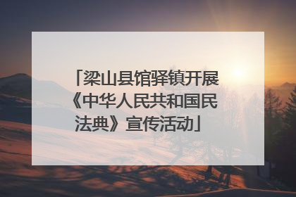 梁山县馆驿镇开展《中华人民共和国民法典》宣传活动