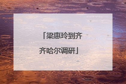 梁惠玲到齐齐哈尔调研