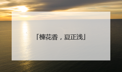 楝花香，夏正浅