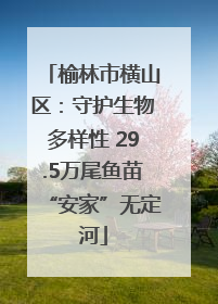 榆林市横山区：守护生物多样性 29.5万尾鱼苗“安家”无定河