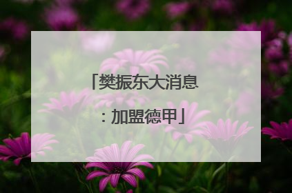 樊振东大消息：加盟德甲