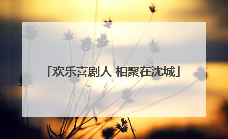 欢乐喜剧人 相聚在沈城