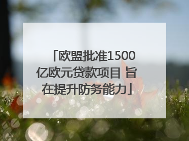 欧盟批准1500亿欧元贷款项目 旨在提升防务能力
