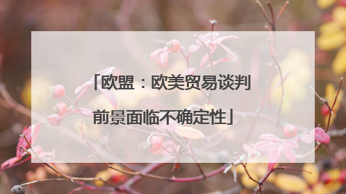 欧盟：欧美贸易谈判前景面临不确定性