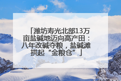 潍坊寿光北部13万亩盐碱地迈向高产田：八年改碱夺粮，盐碱滩拱起“金粮仓”