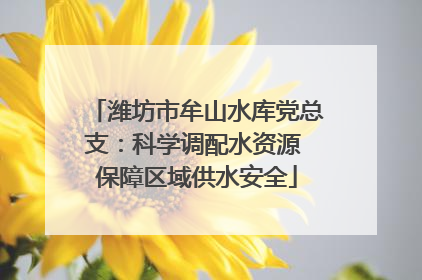潍坊市牟山水库党总支：科学调配水资源 保障区域供水安全