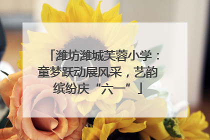 潍坊潍城芙蓉小学：童梦跃动展风采，艺韵缤纷庆“六一”