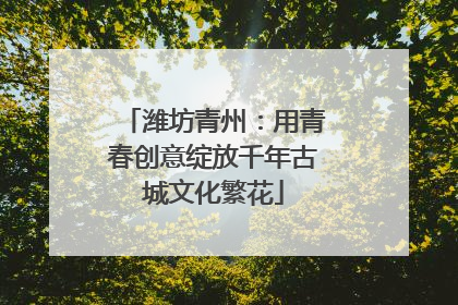 潍坊青州：用青春创意绽放千年古城文化繁花
