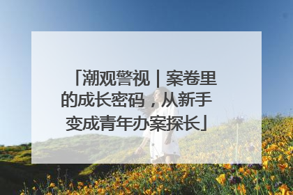 潮观警视｜案卷里的成长密码，从新手变成青年办案探长