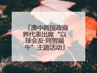 澳中两国政商界代表出席“以球会友·同贺端午”主题活动