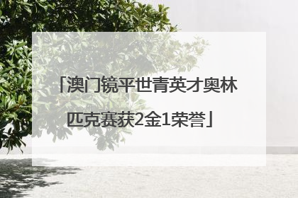 澳门镜平世青英才奥林匹克赛获2金1荣誉