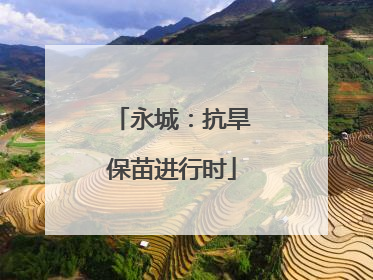 永城：抗旱保苗进行时