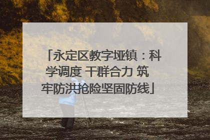 永定区教字垭镇：科学调度 干群合力 筑牢防洪抢险坚固防线