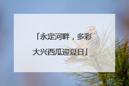 永定河畔，多彩大兴西瓜迎夏日