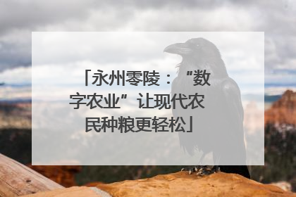 永州零陵：“数字农业”让现代农民种粮更轻松