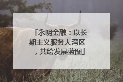 永明金融：以长期主义服务大湾区，共绘发展蓝图
