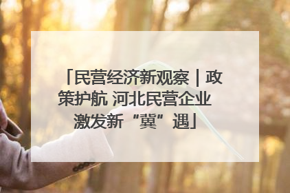 民营经济新观察｜政策护航 河北民营企业激发新“冀”遇