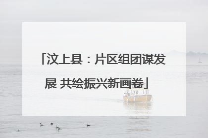 汶上县：片区组团谋发展 共绘振兴新画卷