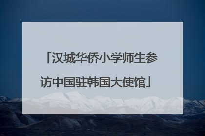 汉城华侨小学师生参访中国驻韩国大使馆