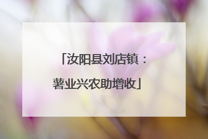 汝阳县刘店镇：薯业兴农助增收